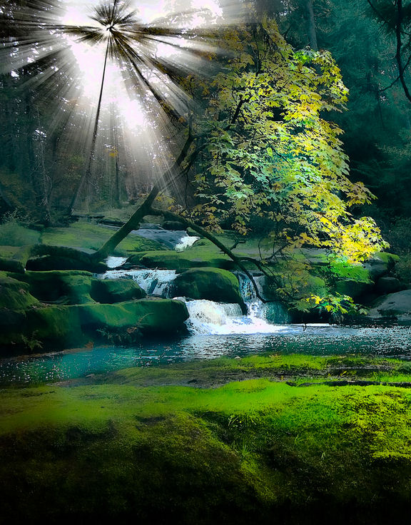 Luz del sol sobre el río River