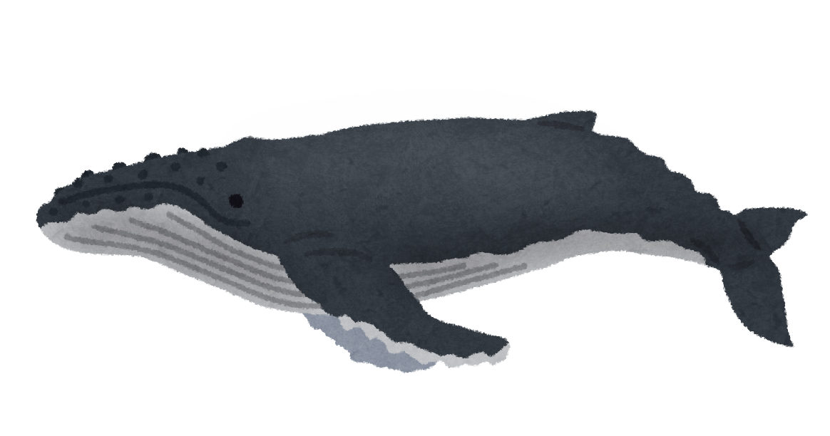 ザトウクジラのイラスト 鯨 かわいいフリー素材集 いらすとや