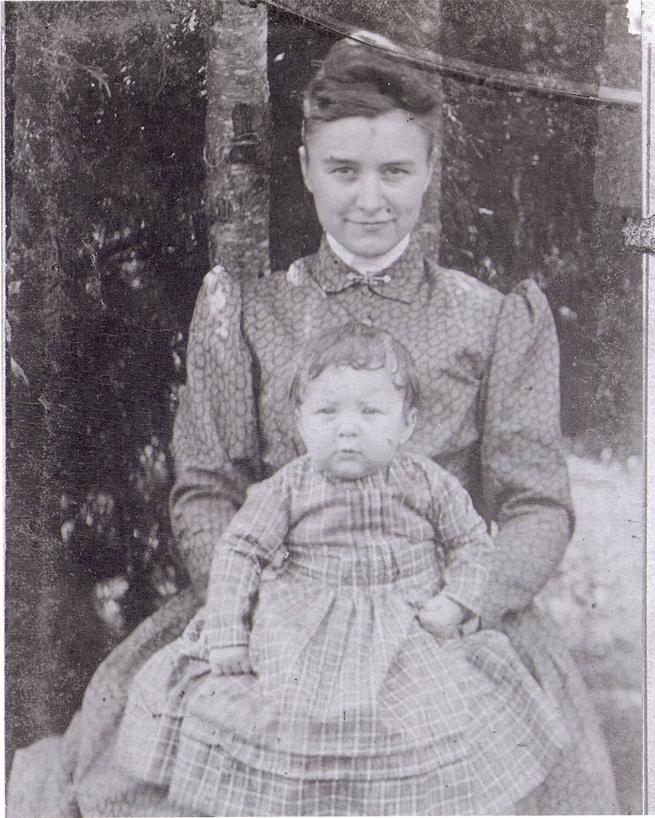 Harrod Family History William Ellsworth Harrod