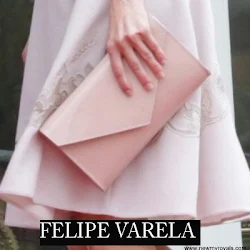 Queen Letizia Style FELIPE VARELA Clutch Bag and HUGO BOSS Dress