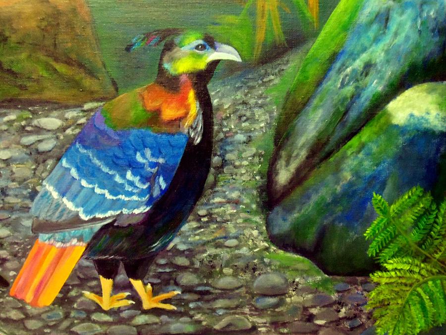 himalayan monal diet himalayan monal diet