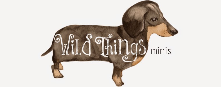Wild Things minis on etsy