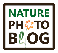 NaturePhotoBlog