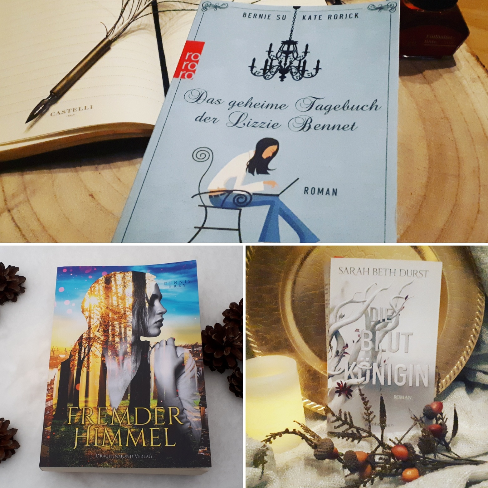 Bucherlilien Dezember 2017