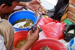 kolam pemancingan telaga cibubur