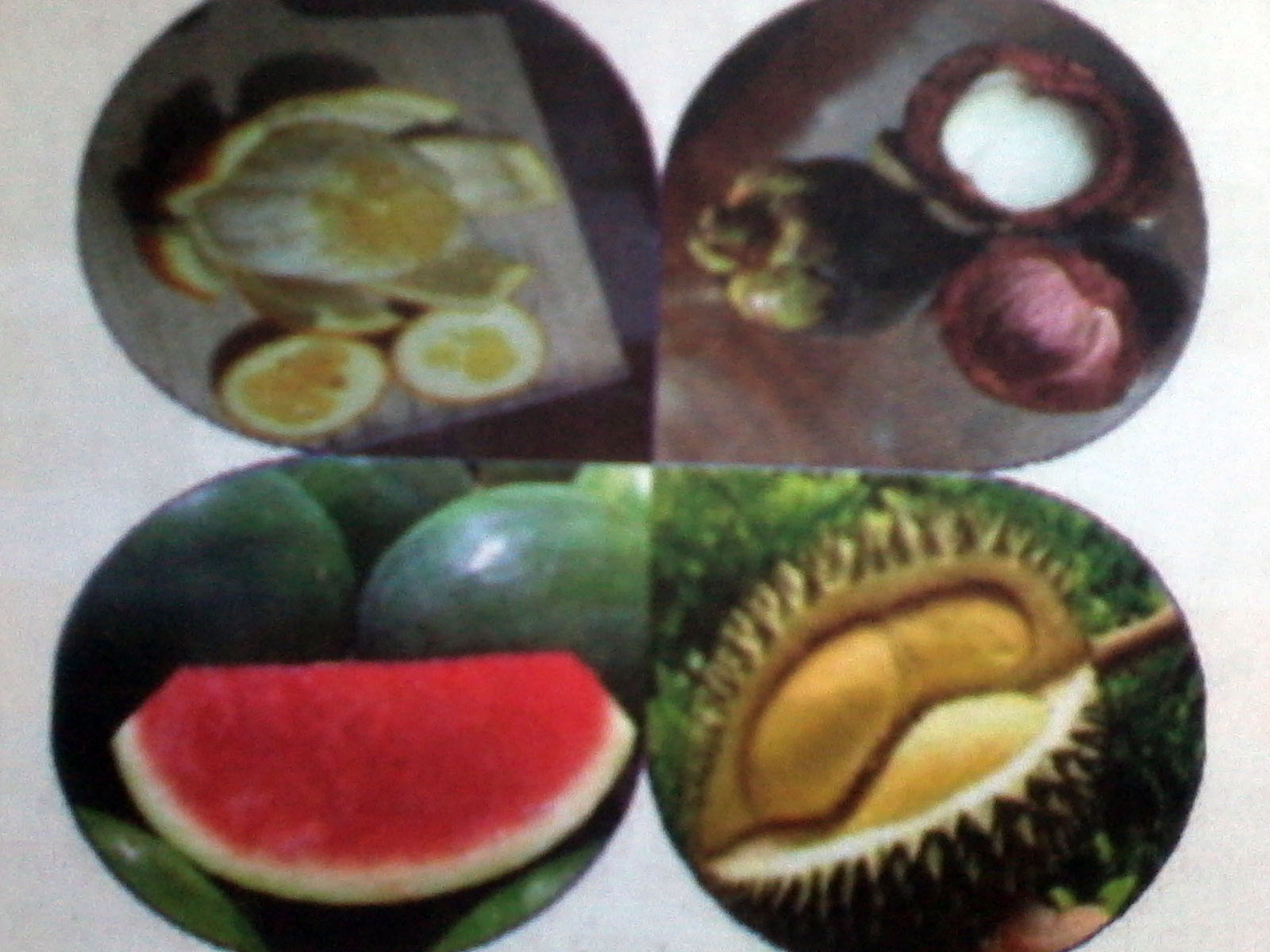 Jamu untuk Hidup Lebih sehat Pengolahan Bahan Pangan