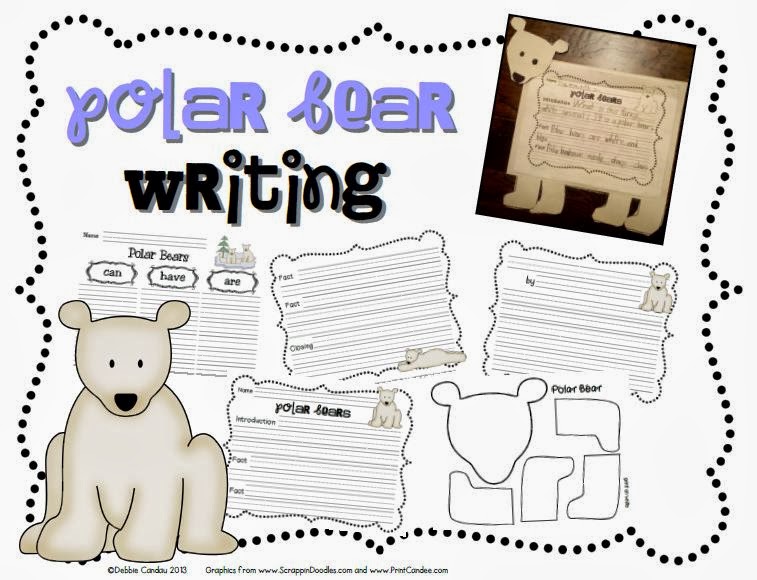 10 facts about bears picture