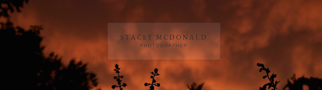 Stacey McDonald Photography