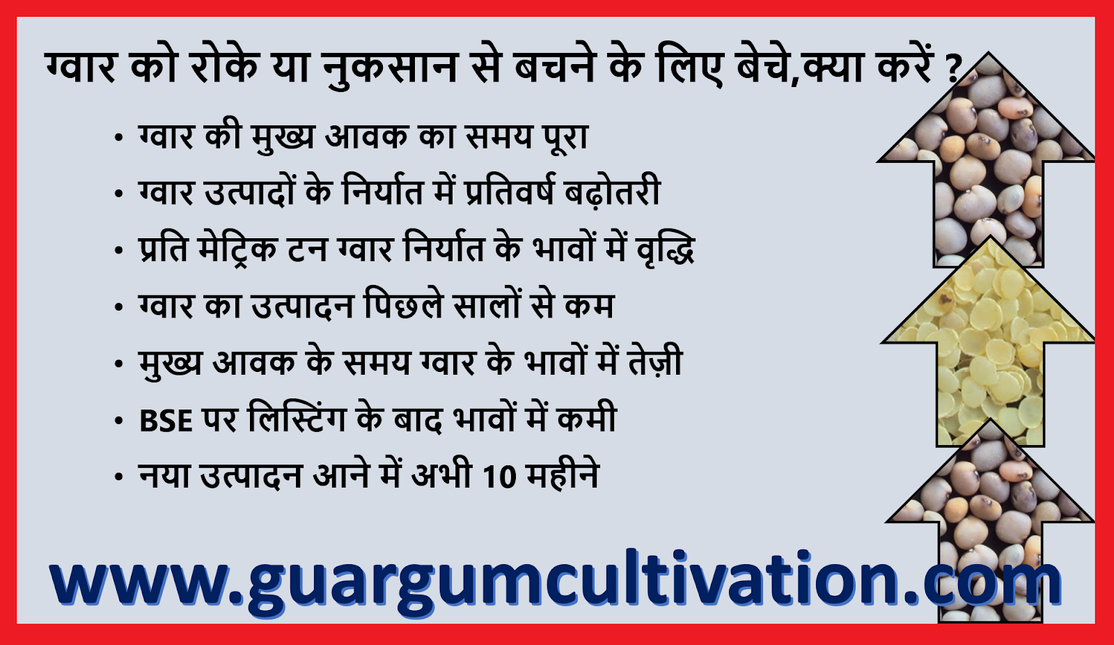 GUAR GUM INFORMATION AND GUAR GUM CULTIVATION IN INDIA ग्वार को रोक कर
