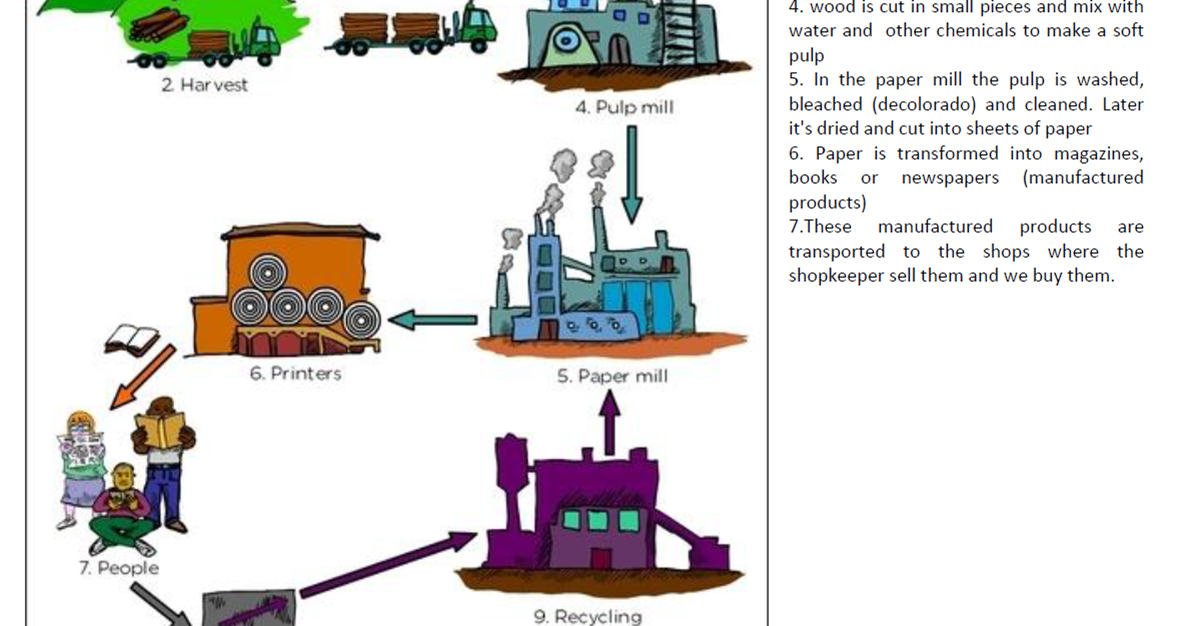Social Science 5 grade 3. ECONOMY Raw materials and manufactured products