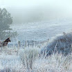 Beautiful Winter Photography