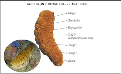 Obat Benjolan Di Badan Alami Paling Ampuh Tanpa Operasi Obat Benjolan Di Badan Alami