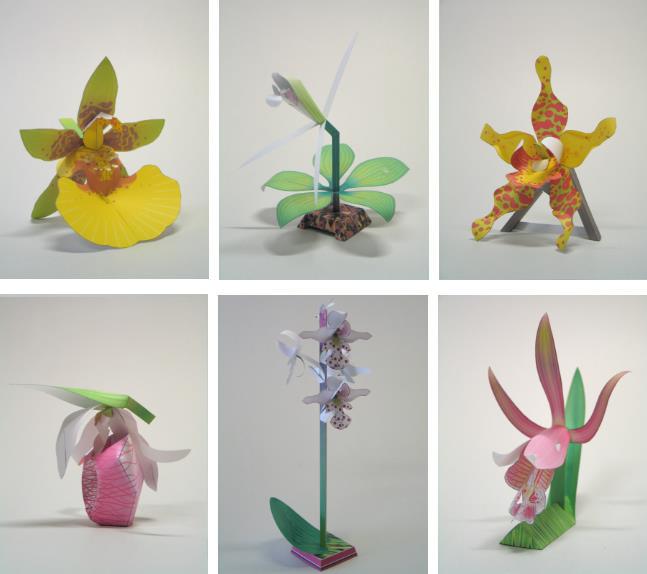 PAPERMAU: Orchid-Gami - Orchid-Species Papercraft Collection - by 3 Eyed  Bear
