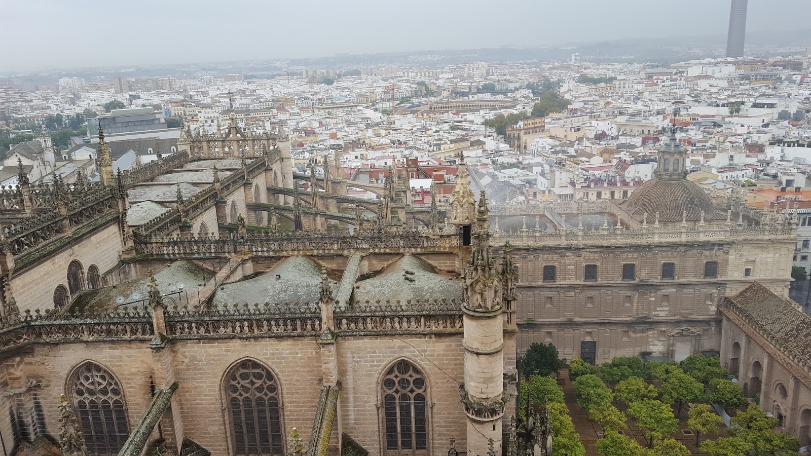 seville cathedral, giralda íí¥ê³ì ëí ì´ë¯¸ì§ ê²ìê²°ê³¼