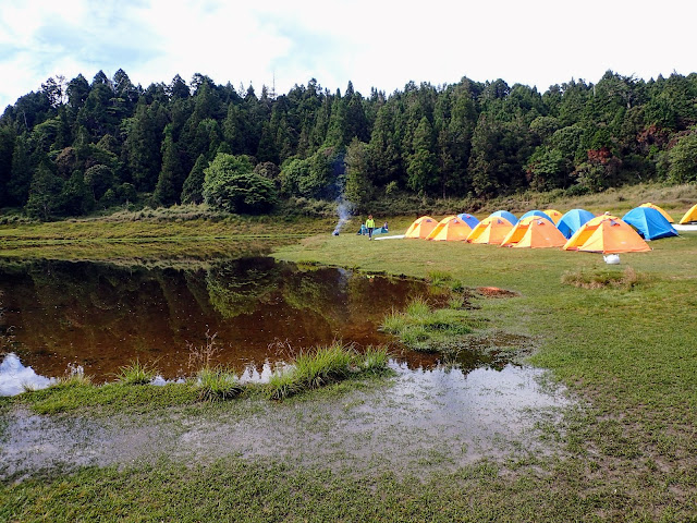 P6270951.JPG