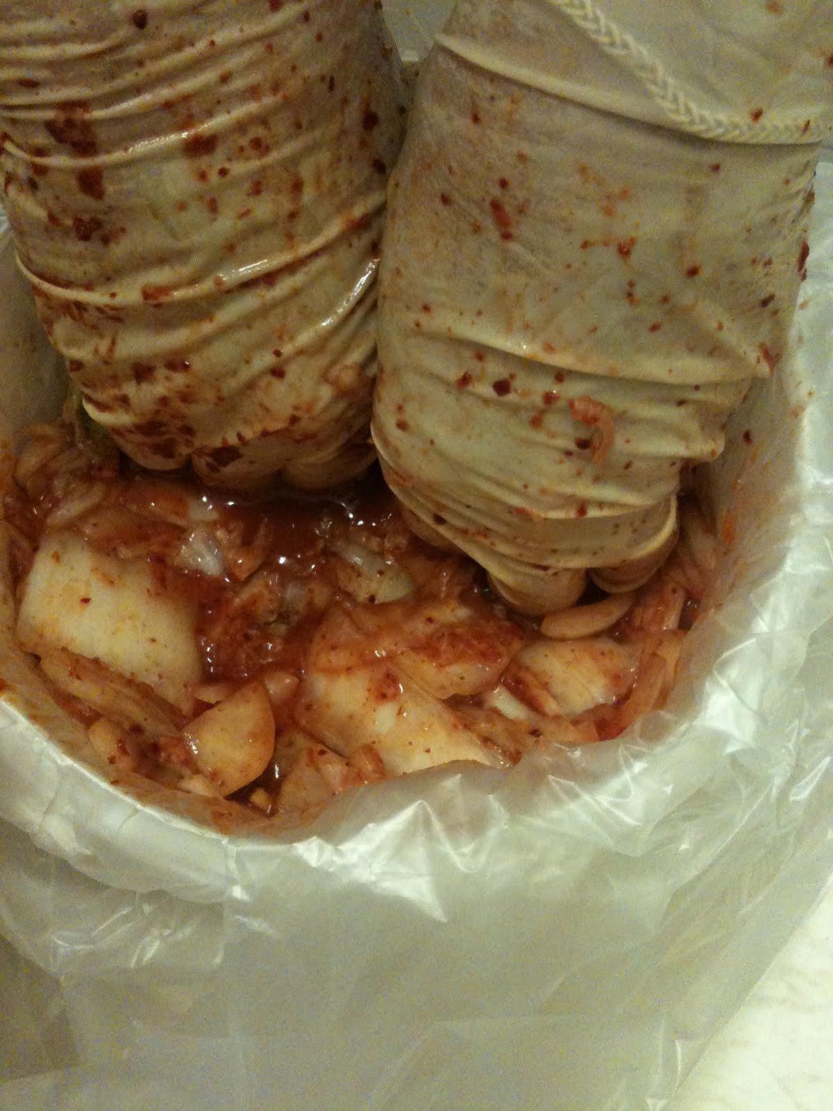 도시락 girl (Dosirak girl) Korean Bento How to Kimchi (family 김치 recipe!)