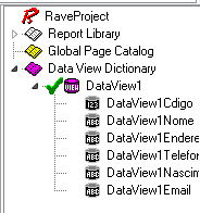 Criando um Relatório com o Rave Reports ~ Programador Online