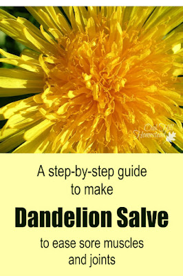 A step-by-step guide to make soothing dandelion salve.