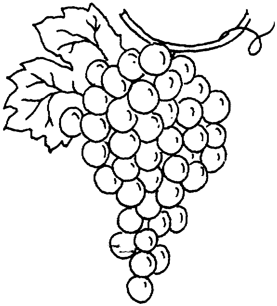 brinquedos de papel uvas imagens para colorir