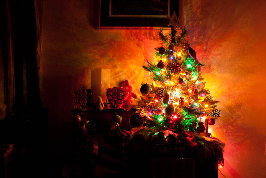 Knit Nat How to Take a Neat Christmas Tree Photo