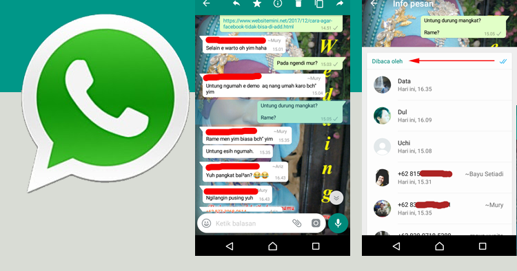 Cara Mengetahui Pembaca Pesan Di Grup Wa (Whatsapp)