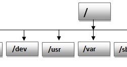 ITTABLES [A table where all the IT Professionals meet]: File System