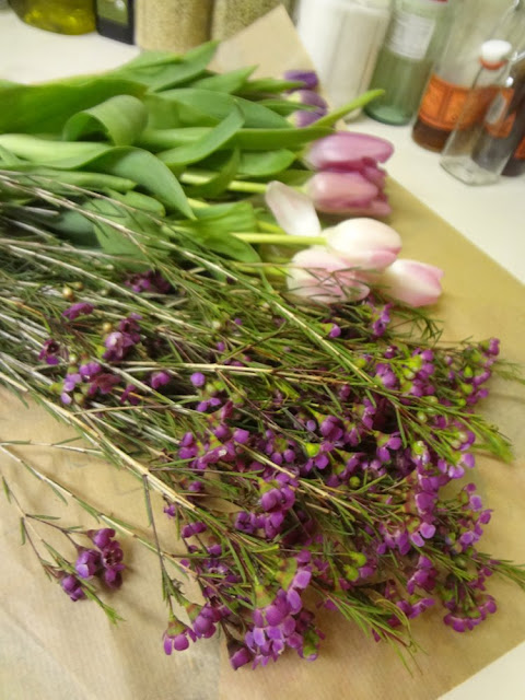 purple and pink tulips