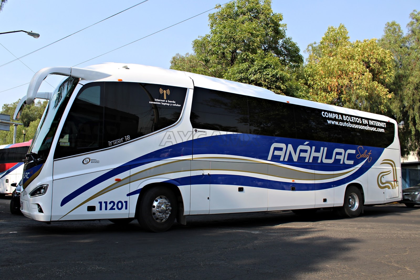 AYCAMX Autobuses y Camiones México Autobuses Foráneos 442. Anáhuac Select