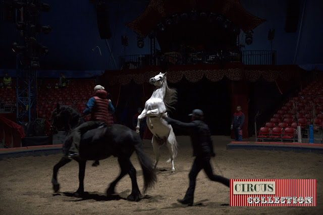 Yvan Frederic Knie  en répétition avec ses chevaux dans le manège du Cirque National suisse Knie
