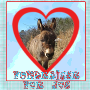 Click on Joe's Picture to donate