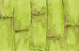 Efeito Bambu 01