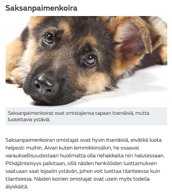 Kuva