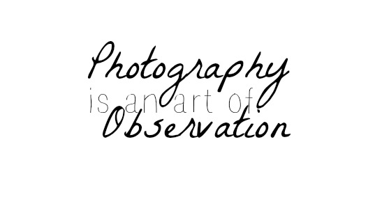 Photography is an art of observation