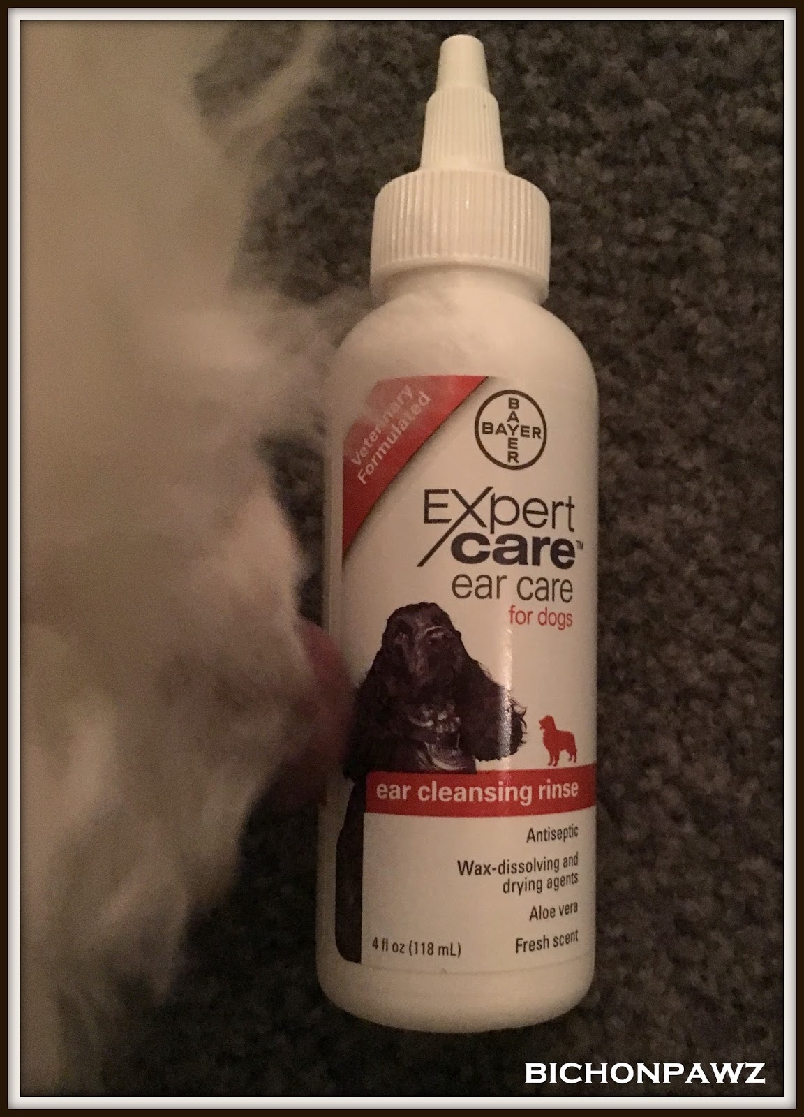 bichonpawz Maintaining Healthy Ears with BayerExpertCare