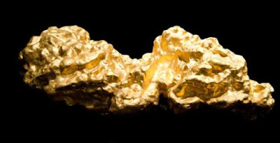 Come trasformare metalli pesanti in oro: batteri re Mida