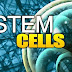 Application of human stem cells