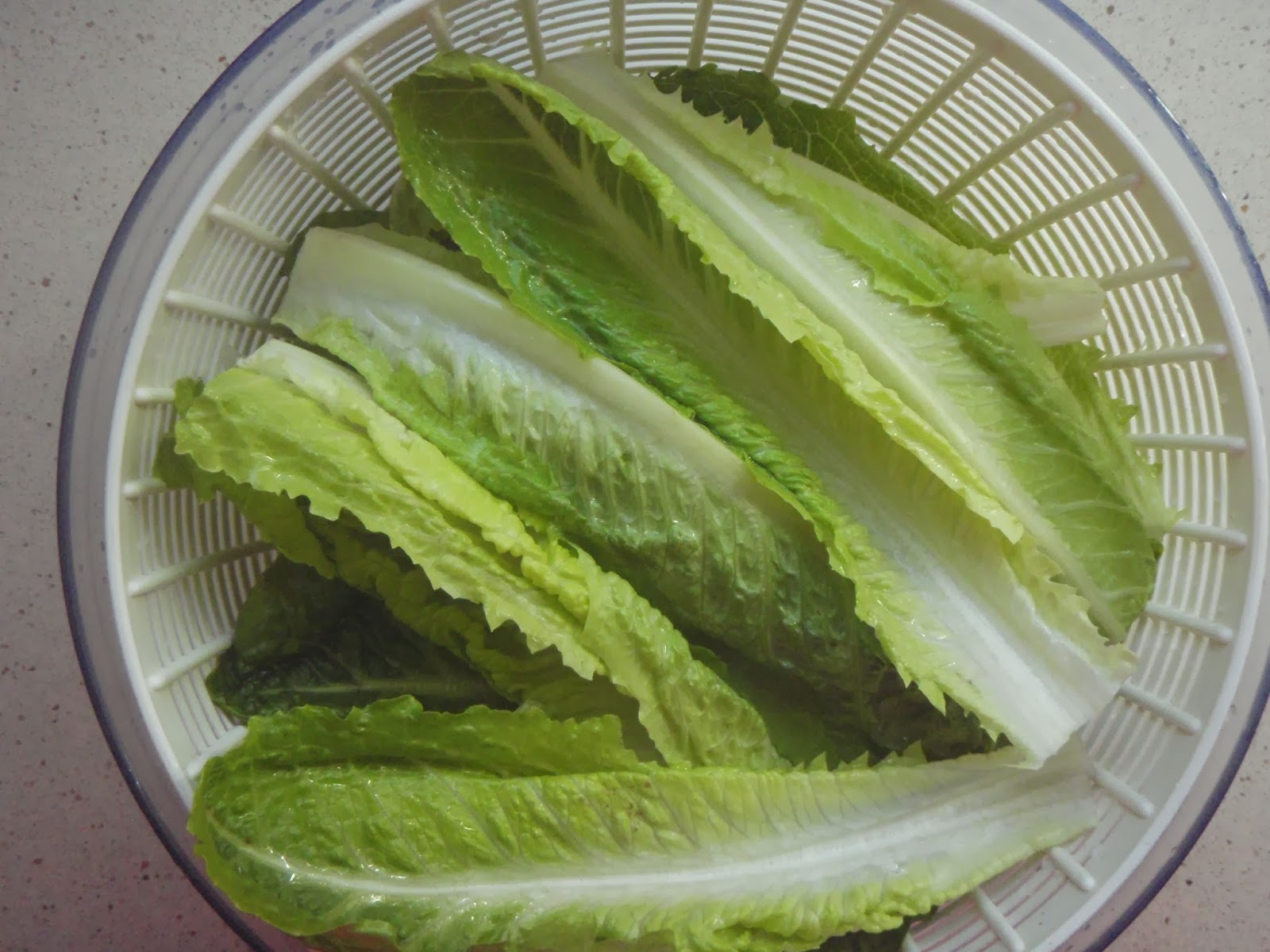Cook with Claire: Romaine Lettuce: How to wash & store