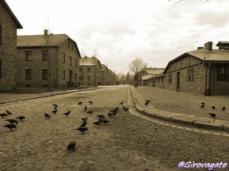 museo Auschwitz