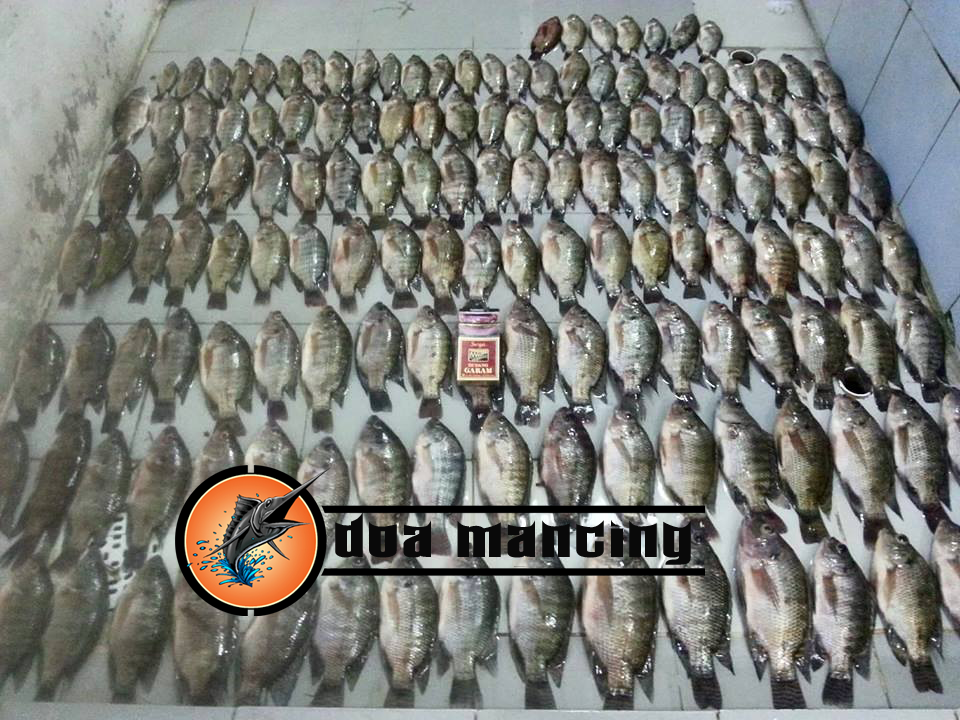Doa Mancing Supaya Dapat Ikan Banyak doa-mancing-supaya-dapat-ikan-banyak
