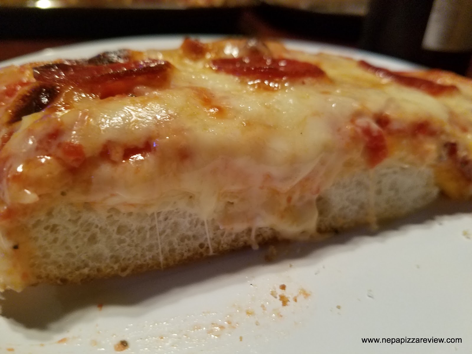 Roosevelt Beer Garden Dunmore NEPA Pizza Review