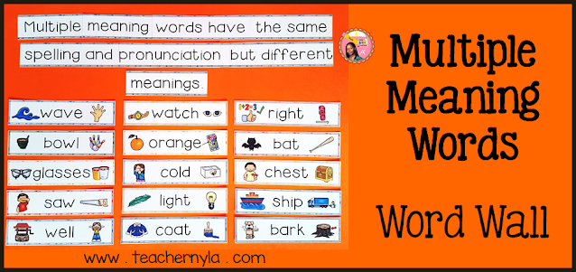 multiple meaning words definition and examples poster