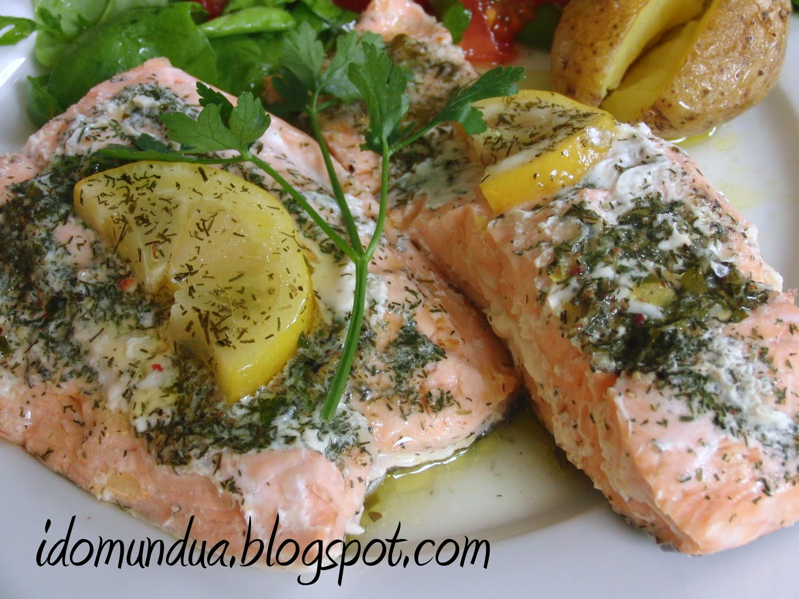 idomundua SALMÓN EN PAPILLOTE CON ENELDO