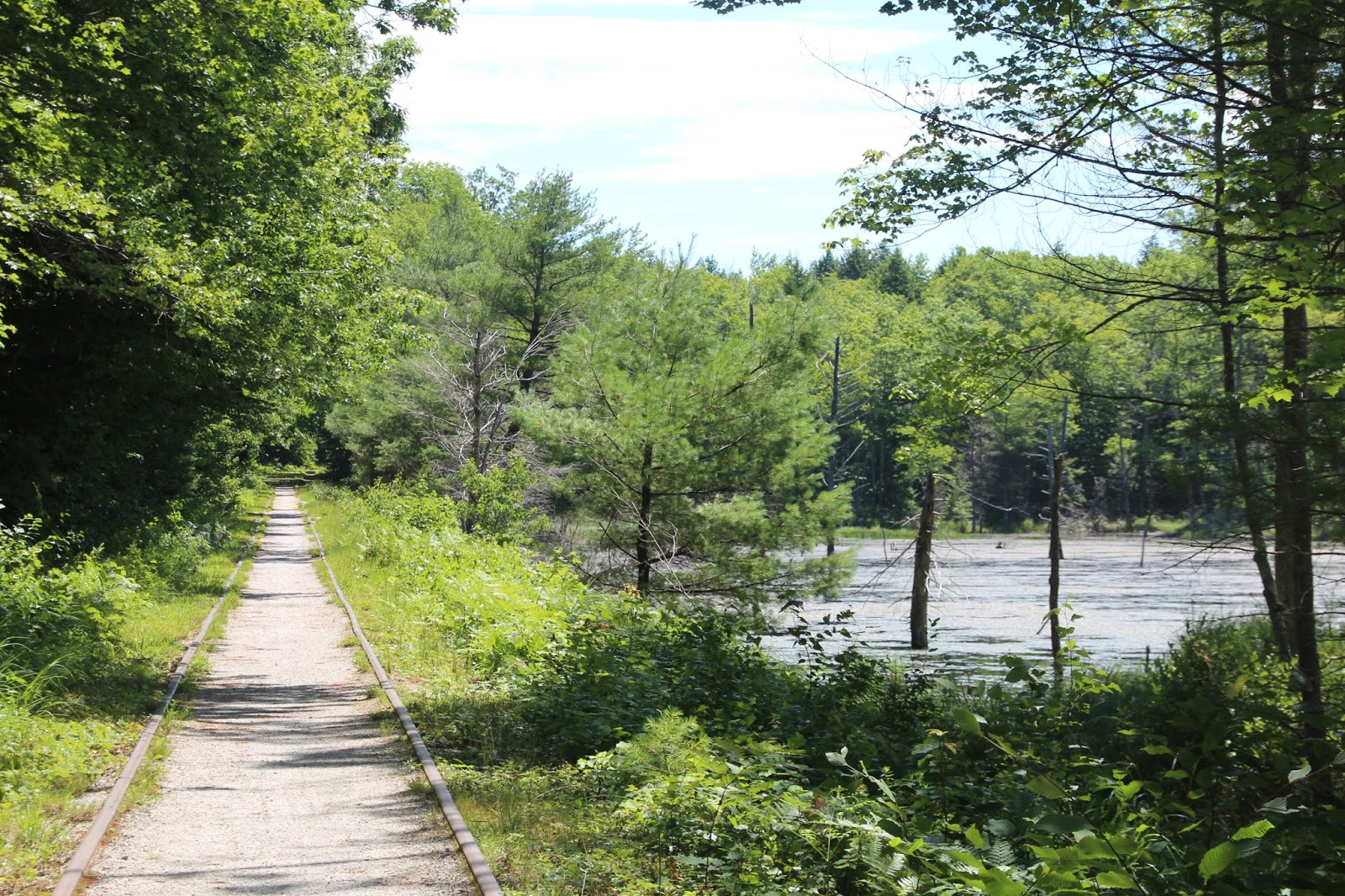 It Just Comes Naturally New Hampshire Day 1. Cotton Valley RailTrail