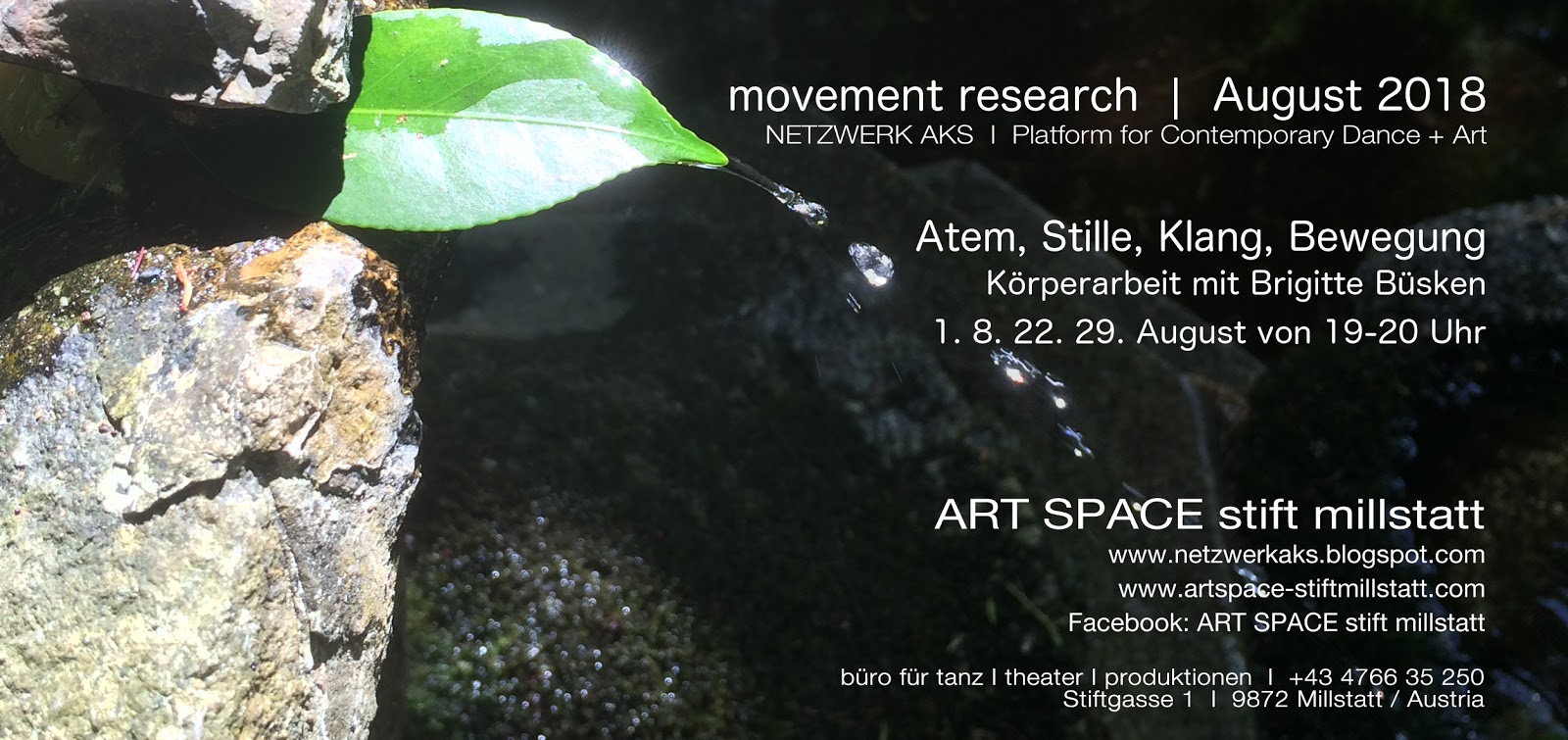 Netzwerk Aks Platform For Contemporary Dance Art July 2018