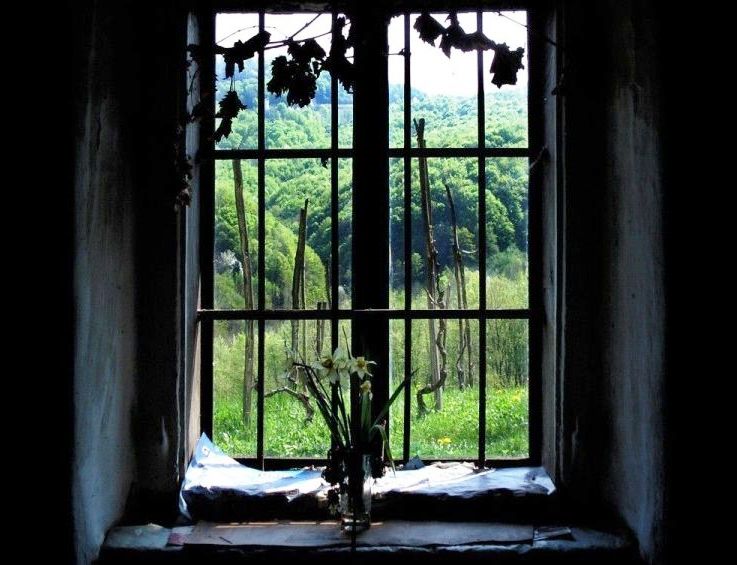Жуткое окно. Мрачный вид из окна. Страшный вид из окна. Мрачные окна домов.