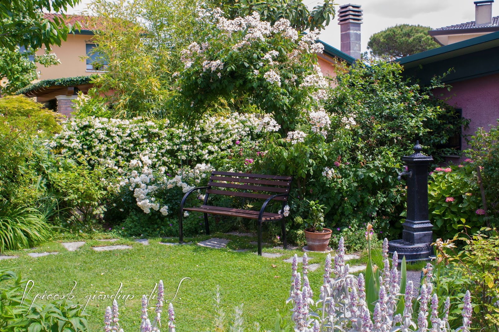 Il piccolo giardino di L. Angoli rigogliosi del giardino