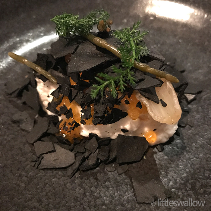 Biota Dining, Bowral - Whipped Dory Roe, Grown and Gathered Leaves
