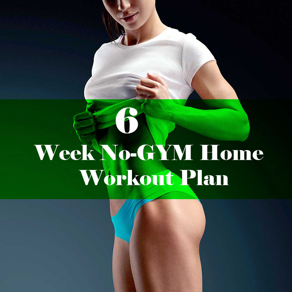 6 week gym plan pdf