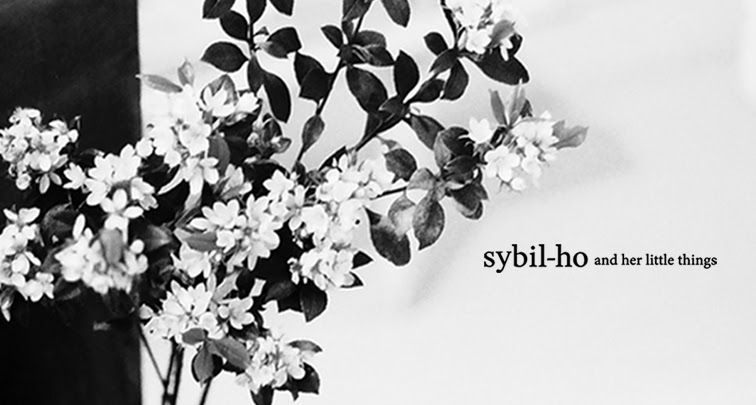 sybil-ho and her little things