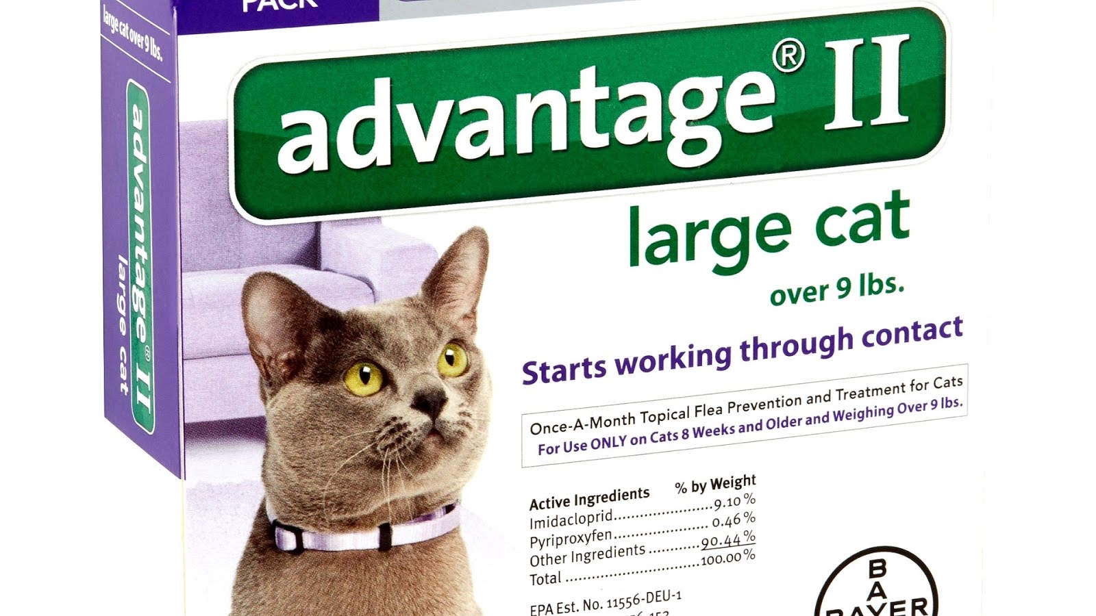 Cancer in cats Cat Choices